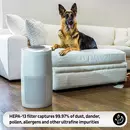 Filtre pour purificateur d'air Instant AP-300