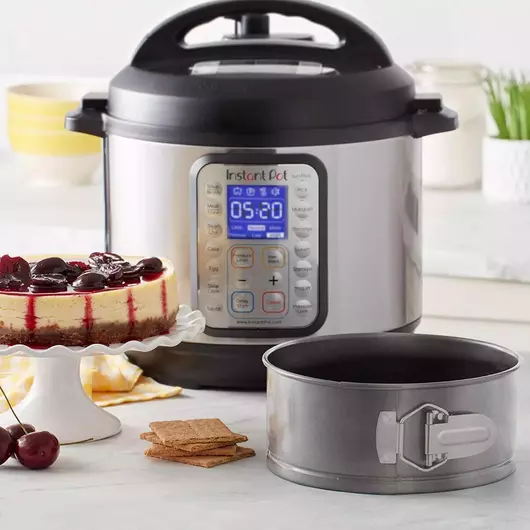 Moule à pâtisserie Ziva avec ressort 17 cm pour multicuiseurs (5,7 L), friteuses à air et four